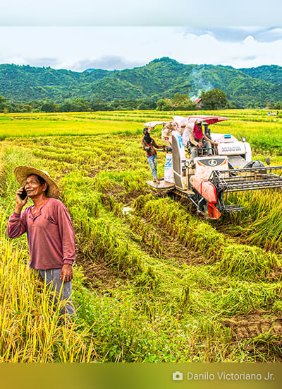 Economic Implications of Agri-met Advisory Services: A Case Study of Farmer Decision-Making in Haryana