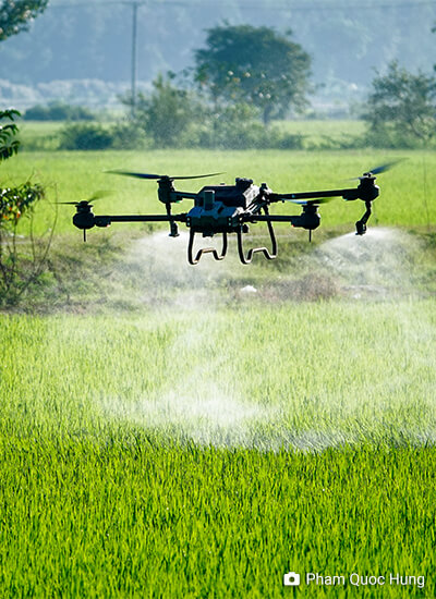 Assessing Risk of Aerial Spray Drift in Paddy Fields: A Comprehensive Review